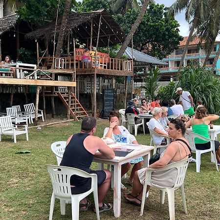 Honey Beach Hostel Negombo Exterior foto